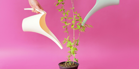 8-Tier Plant Shelf vs 5-Tier: Which One Fits You?