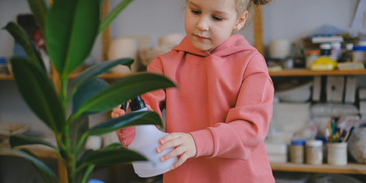 Best Indoor Plants for Winter Months