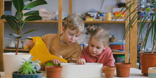 Best Plants for a Kids’ Indoor Garden Project