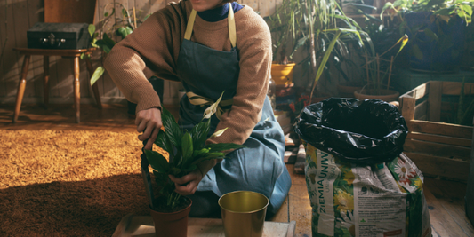 Best Practices for Safe Electrical Use with Grow Lights