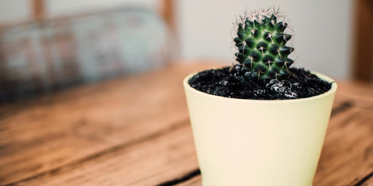 Buying Guide: What to Look for in a Grow Light Stand