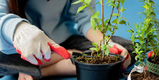 Common Mistakes When Using Grow Lights