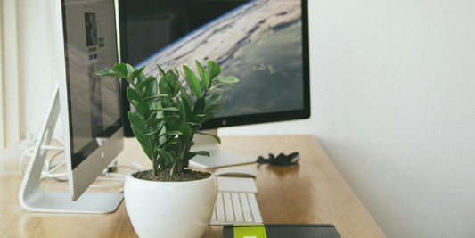 Create a Healthier Home with the amoyls 8-Tier Plant Shelf