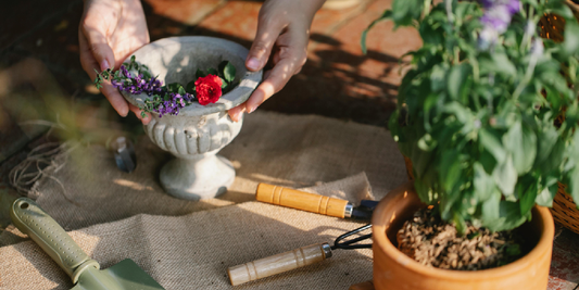 Do Grow Lights Really Work? Here’s Proof