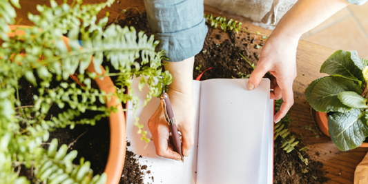 How to Automate Grow Light Usage