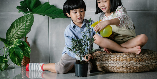 Growing Indoor Vines on a Shelf