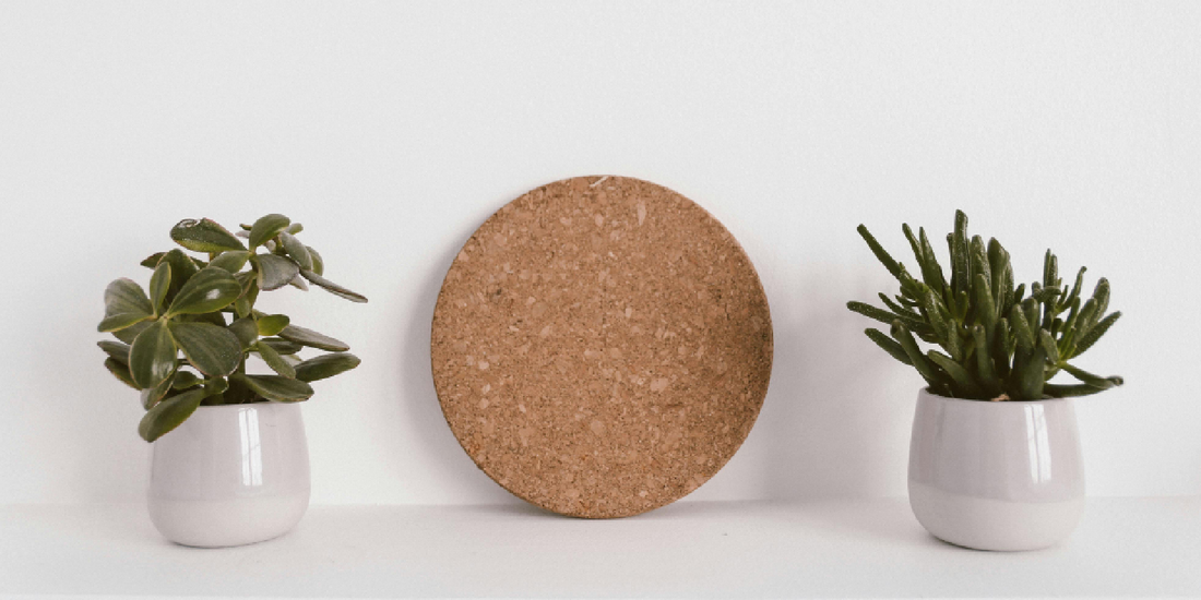 How Indoor Plant Shelves Transform Modern Living