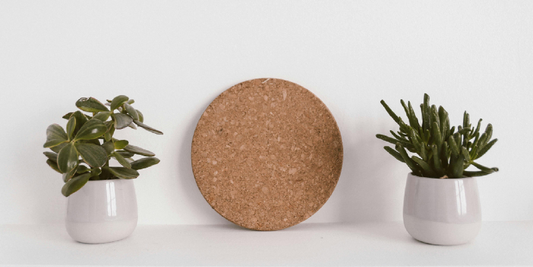 How Indoor Plant Shelves Transform Modern Living