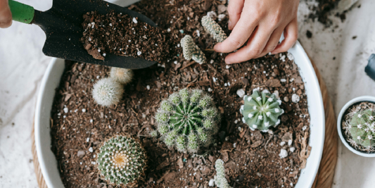 How to Tell If Your Plant Likes the Grow Light