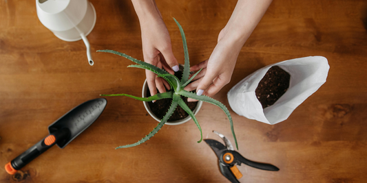 How to Use Grow Lights Without Overheating Your Room
