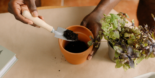 How to Use Grow Lights in the Winter