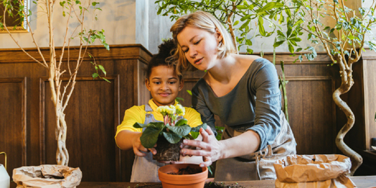 How to Use a Timer with Your Grow Light