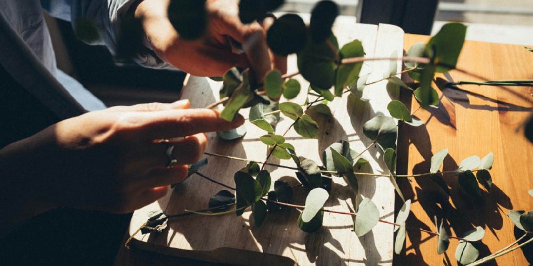 Modern Plant Shelf Decor for Urban Apartments