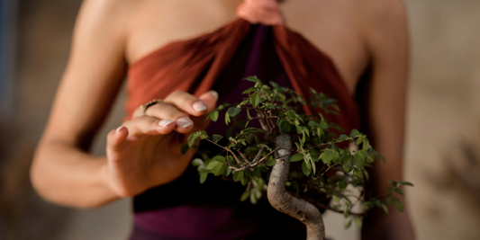 The Pros and Cons of Stackable Plant Stands