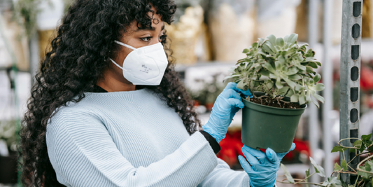 Trending Indoor Gardening Products This Year