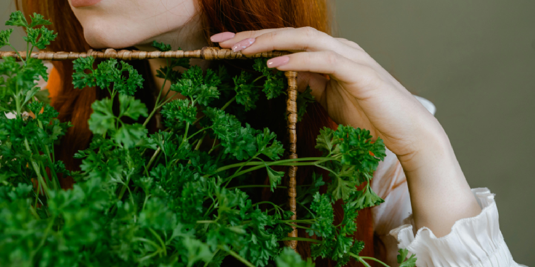 Vertical Herb Garden Setup on a Shelf