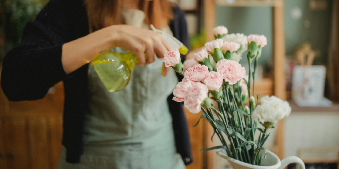 What Makes a Good Indoor Gardening Shelf?