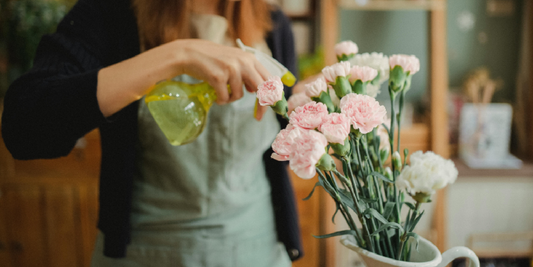 What Makes a Good Indoor Gardening Shelf?