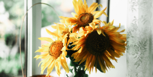 Why Customers Love the VerdantGlow Plant Stand