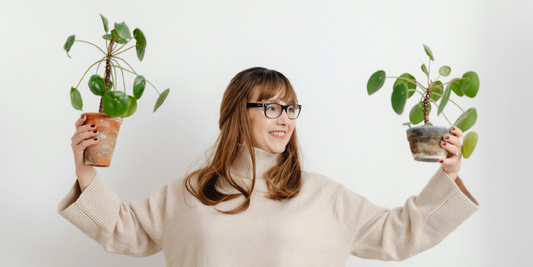 Wood vs Metal Plant Shelf: Which is Better?