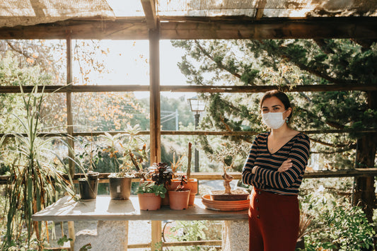 Common Myths About Indoor Gardening