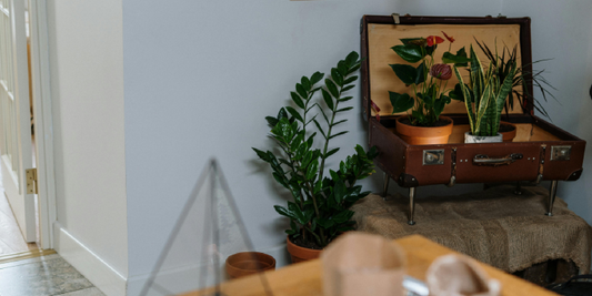 A Gift I Gave Myself: Not to Change My Life, Just to Stay With Me