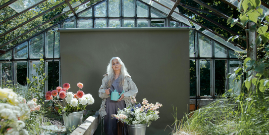 A Holiday Gift That Brings Light, Life, and Warmth Home