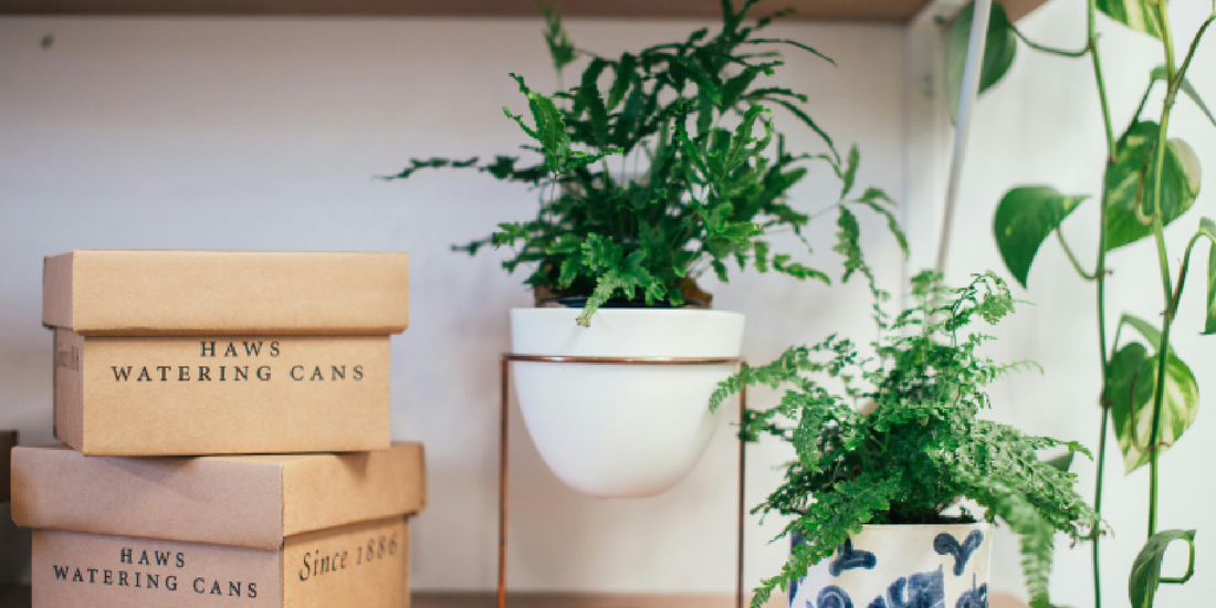 A Holiday Gift That Feels Like Home