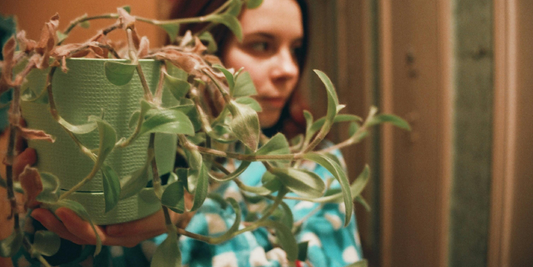 A “Less but Better” Plant Shelf for Modern Living