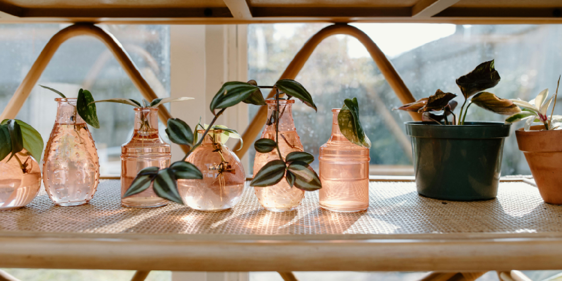 A Long-Term Companion Gift for Someone in Recovery: When Support Means Simply Being There