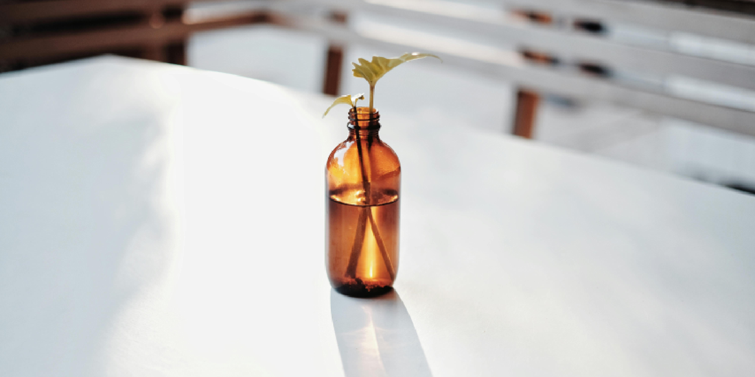 A Meaningful Graduation Gift: Helping Students Grow Into Their Next Chapter