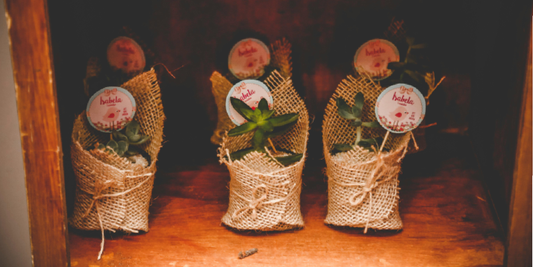 A Modern Plant Shelf That Elevates Any Space
