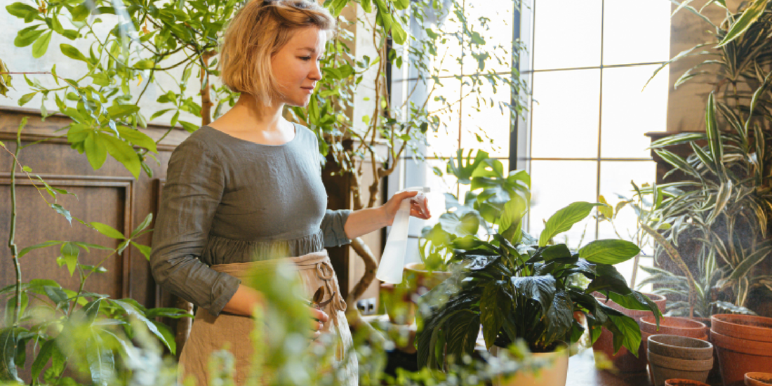 A Simple Guide to Growing Lush Green Plants at Home