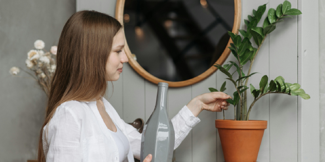 A Smarter Gift for Busy Professionals: Calm, Green, and Effortless