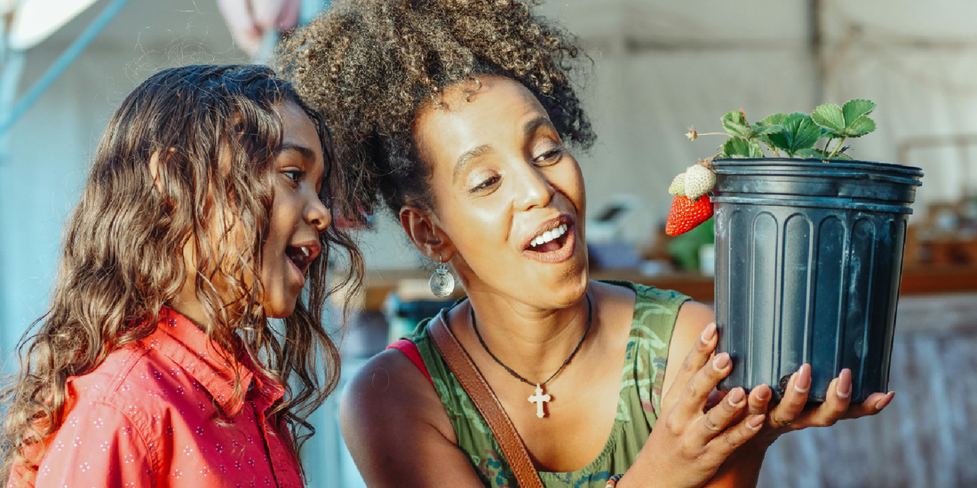 A Thoughtful Gift for Plant Lovers Who Have Everything