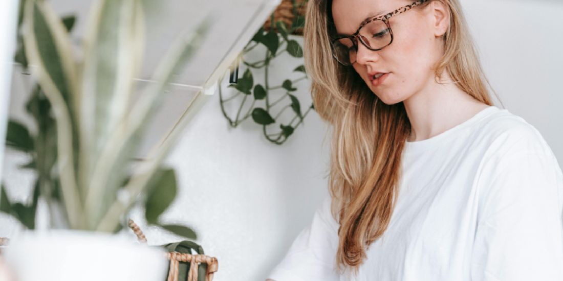 Beginner’s Guide to Growing Indoor Plants