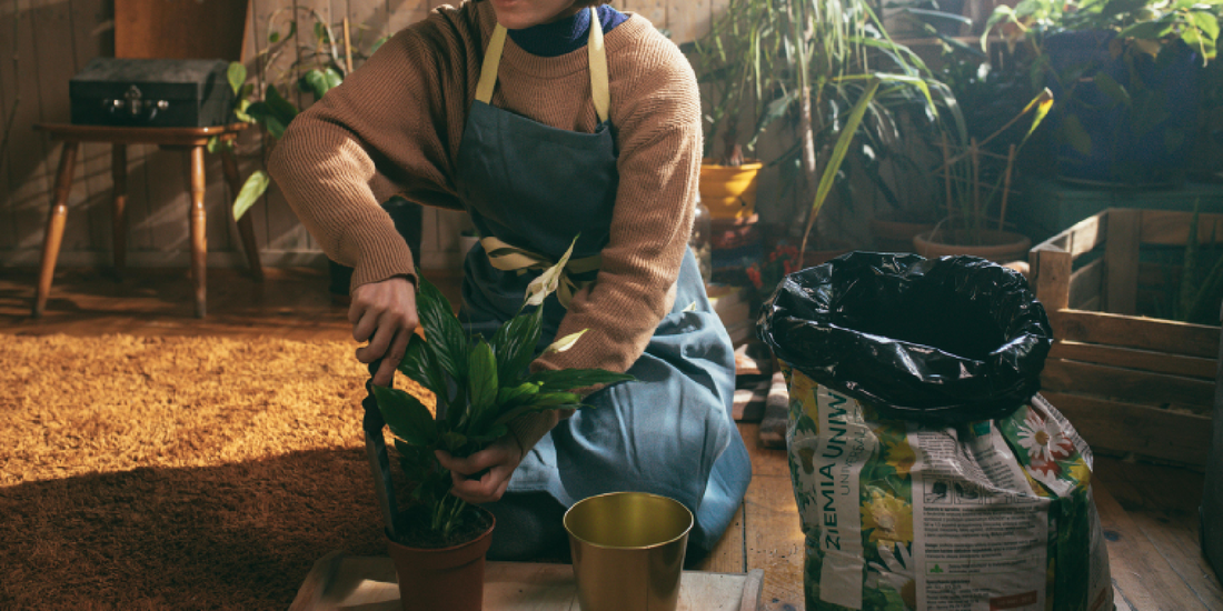 Best Practices for Safe Electrical Use with Grow Lights