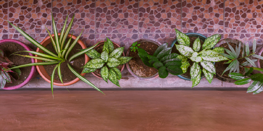 Buying Less, Living Better: A Healthier Relationship With Your Space