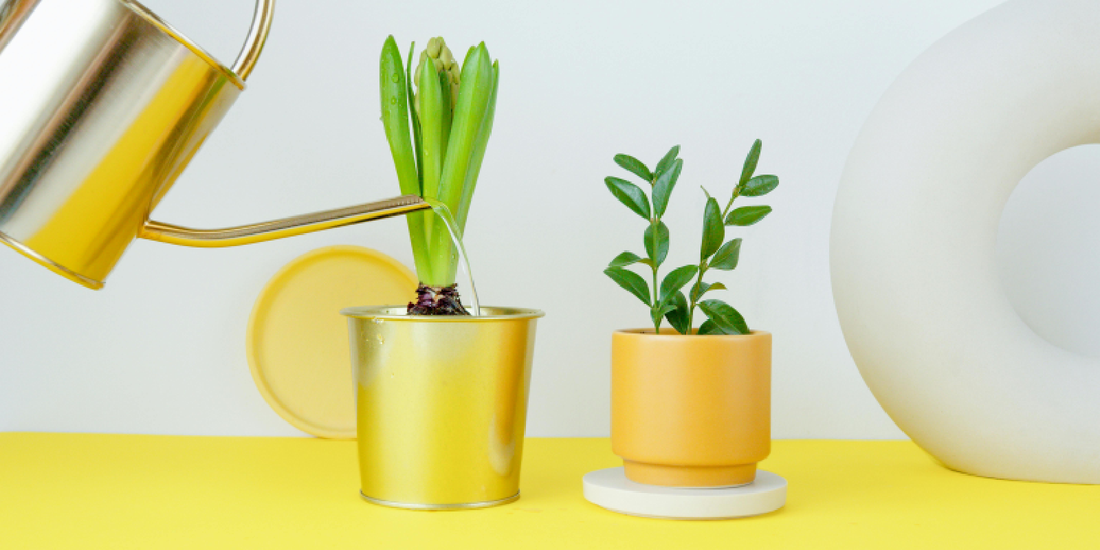 Can Grow Lights Replace Sunlight?