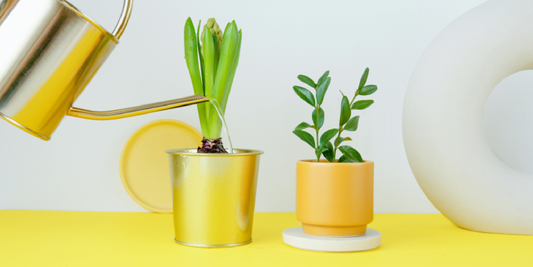 Can Grow Lights Replace Sunlight?