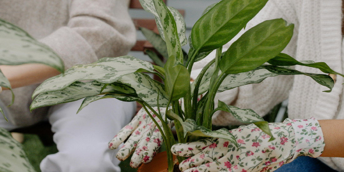 Can You Use LED Grow Lights All Day?