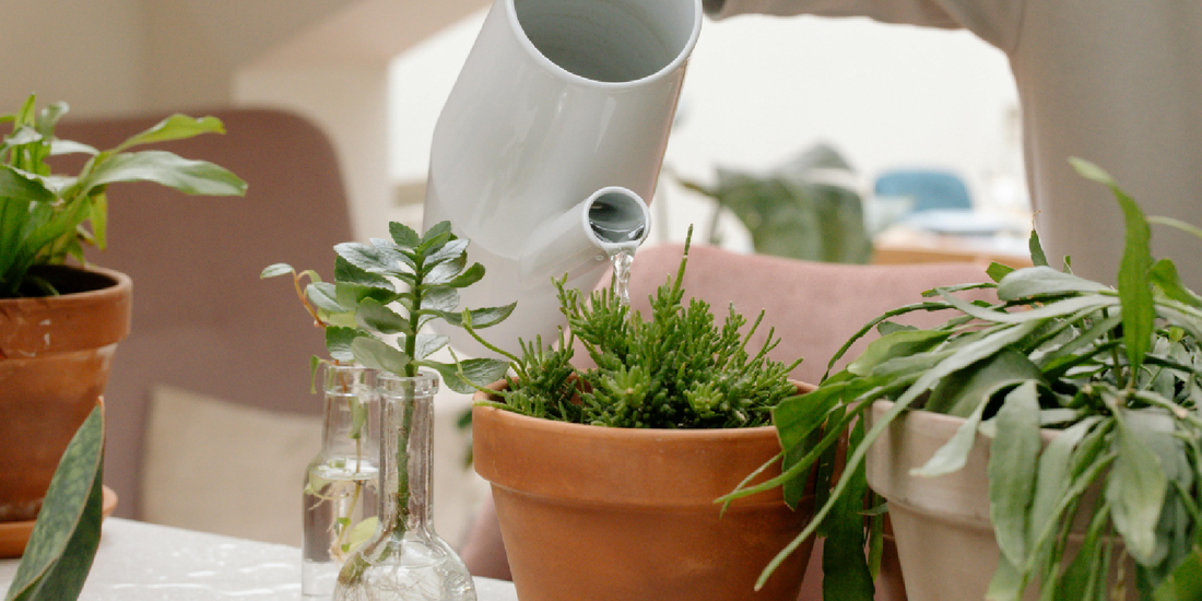 Common Grow Light Shelf Mistakes (And How to Fix Them)