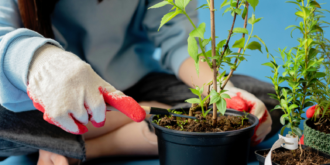 Common Mistakes When Using Grow Lights