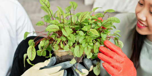 Creating Layered, Modern Interiors