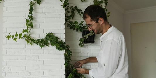 Decorating with Plants and Light in a Minimalist Home