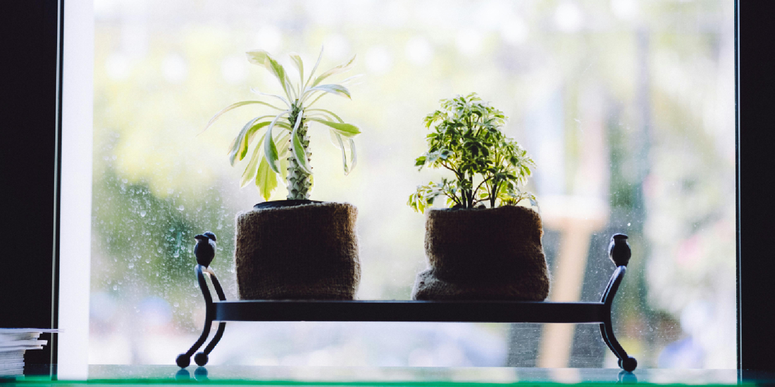 Elevate Your Home Décor with the VerdantGlow S-Shaped 8-Tier Plant Shelf