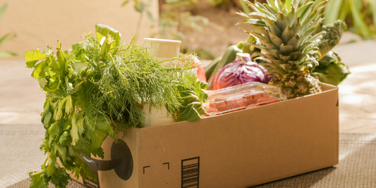 Grow Fresh Food in Any Apartment