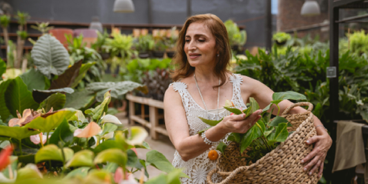 Growing Better Indoor Plants With Ease