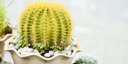How Grow Lights Work