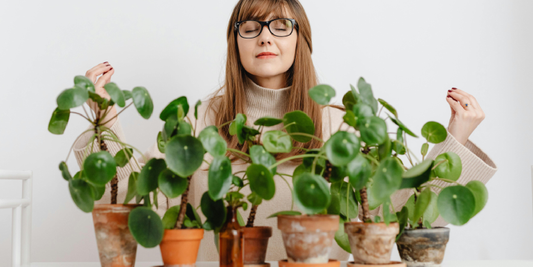 How Plants and Light Create a Cozy, Stylish Home